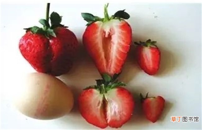 【草莓】草莓空心预防措施