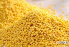 大黄米的作用与功效 吃大黄米的好处