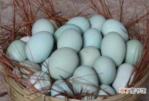 生鸡蛋和乌鸡蛋的差别营养价值 吃鸡蛋的好处
