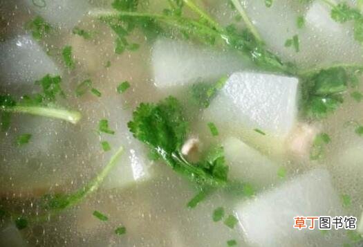 冬瓜汤的作用与功效 东瓜汤怎么做好吃