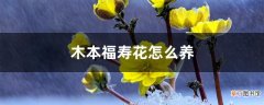 【花】木本福寿花怎么养