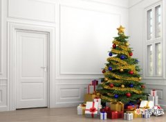【常绿树】天然圣诞树一般用杉柏之类的常绿树做成