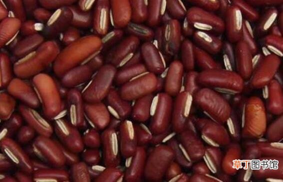 红小豆的作用与功效 红小豆的营养价值