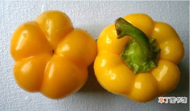 【副作用】柿子椒的西式做法是什么？柿子椒的副作用有哪些？