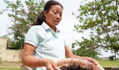 农村大妈晒制作秘制豆森酱，每年只做49斤，每天搅拌20天