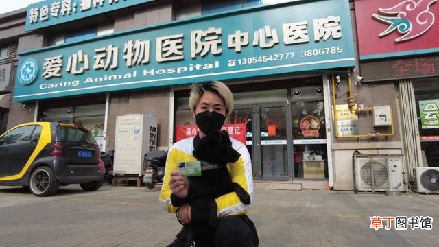 「新时代文明实践」文明养犬丨福山发出首张犬只“身份证”