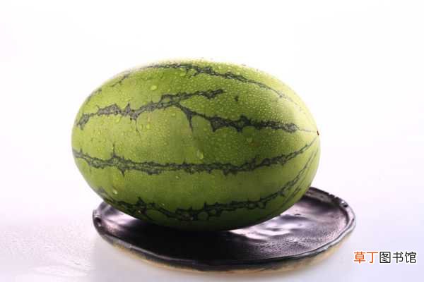 【品种】西瓜有哪些品种？常见西瓜品种图片大全