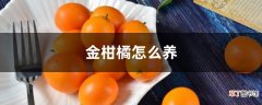 【花卉大全】金柑橘怎么养