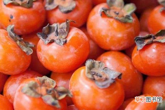 【柿子】冻柿子是什么柿子