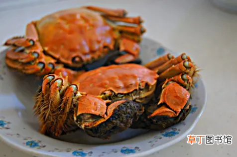 【蒸熟】螃蟹蒸熟了放冰箱保鲜第二天可以吃吗?蒸熟的螃蟹第二天吃怎么加热