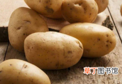 【养殖】土豆什么时候种最合适 土豆养殖技巧总结