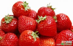 【水果】具有抗癌功效的水果有哪些？