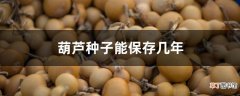 【种子】葫芦种子能保存几年