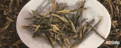 【茶】苦丁茶的养殖方法：养殖技巧，问题诊疗