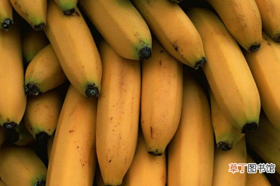 【水果】香蕉是寒性水果吗