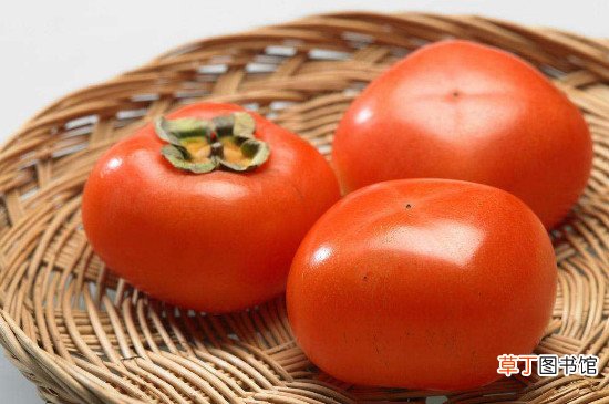 【方法】揽柿子的5种方法