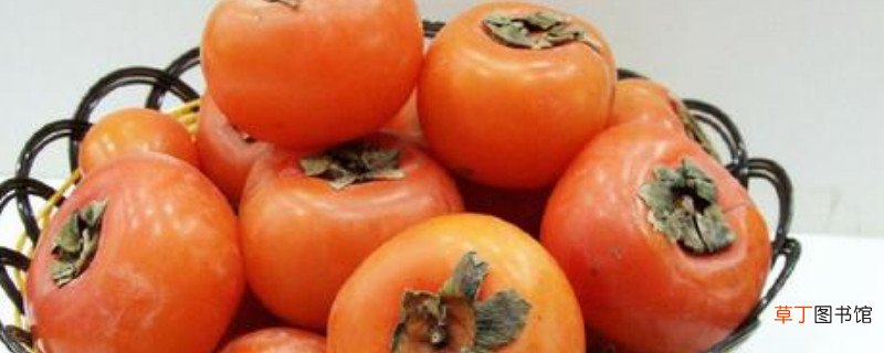 【方法】揽柿子的5种方法