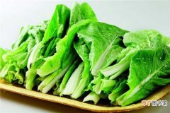 【虫害】小白菜的病虫害防治：根肿病，白粉病