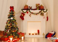 【圣诞树】一般常绿、直立、树形呈三角形的树种都可以装饰成圣诞树