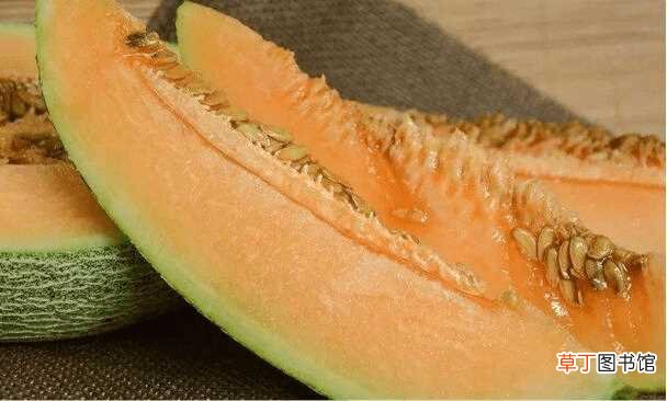 【种植】哈密瓜的种植方法