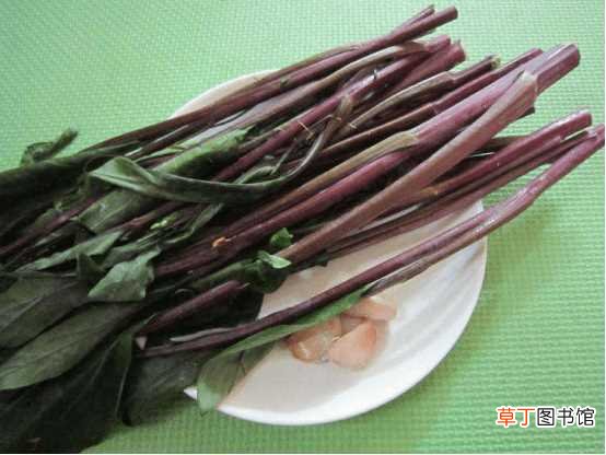 【菜苔】红菜苔叶子的制作方法