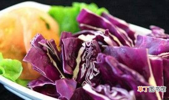 同样是包菜，紫色的包菜和绿色的包菜到底有什么区别？