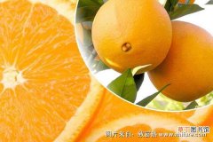 【橙】脐橙施什么肥