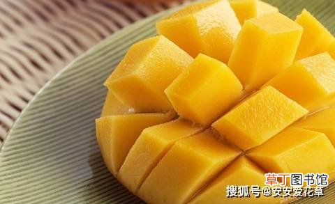 芒果富含纤维和果胶，对身体益处多，但也有食用禁忌要注意