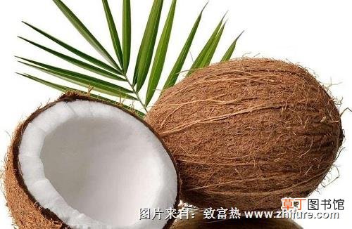 【栽培】椰子栽培技术和病虫防治