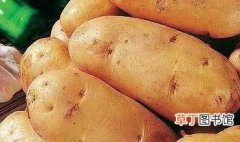 土豆是家常的美味，土豆的做法也多种多样