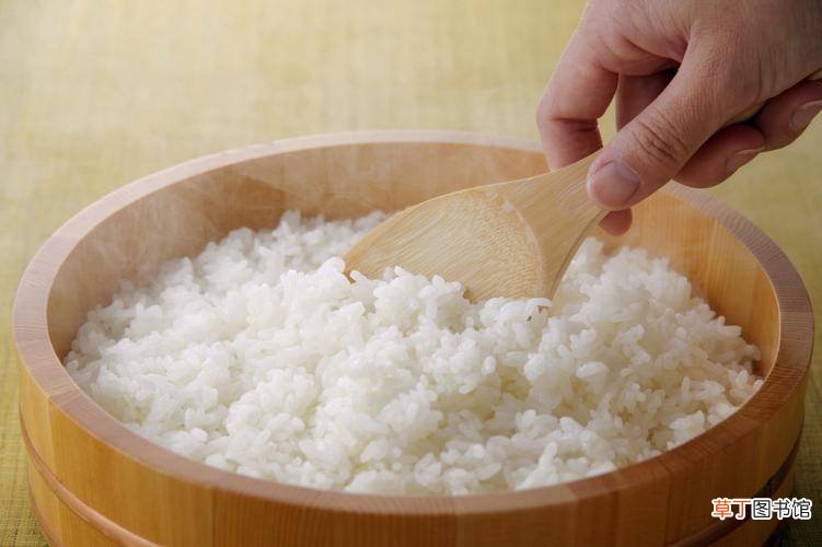 多吃主食死得快？米饭是最差的主食？是时候说明真相了