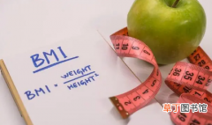 【正常范围】bmi正常值范围是多少?高BMI人群为什么会越来越多