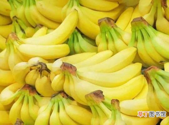 每天坚持吃香蕉 ， 4大好处不请自来 ， 尤其是第三个 ， 还没人知道？