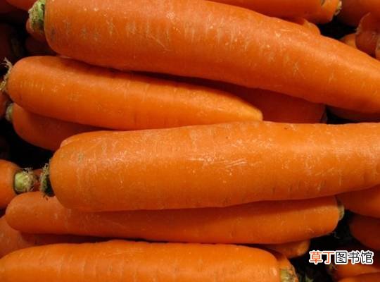 经常吃胡萝卜对身体有什么好处它对身体有什么好处