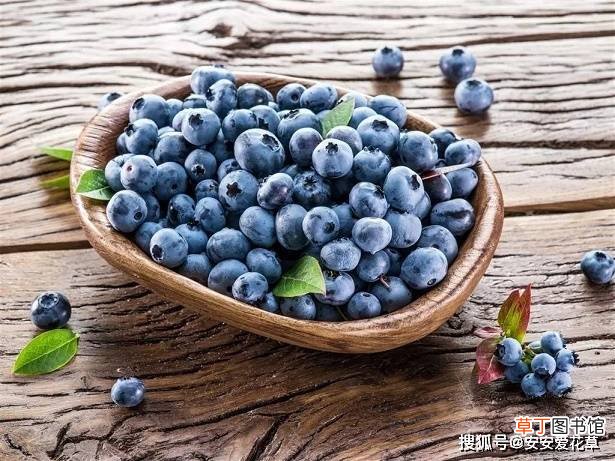 蓝莓营养功效多， 不止能保护视力， 还有其他功效， 一起来看看吧