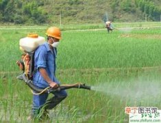 【施肥】种水稻测土配方施肥