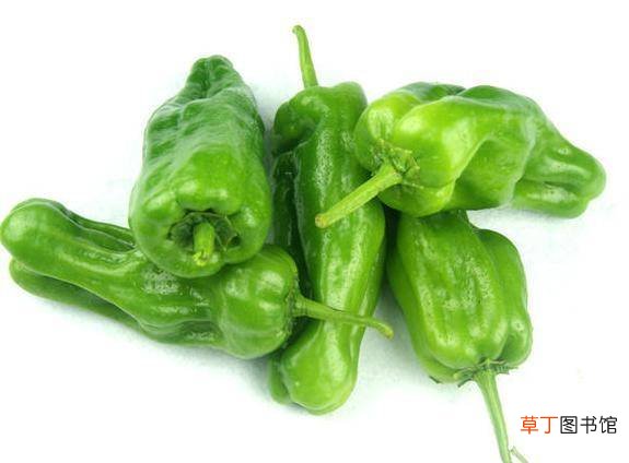 虎皮青椒的简单做法，薄皮更容易入味，吃着也非常下饭