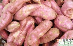 【红薯】种红薯薯秧上架产量升