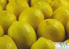 【病虫害】种柠檬病虫害防治