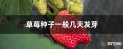 【种子】草莓种子一般几天发芽
