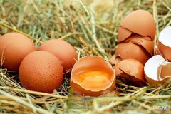 心血管健康与疾病报告2019：每天吃1个鸡蛋