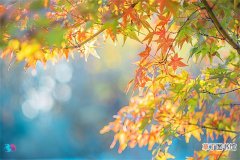 秋季常见的过敏性疾病，秋季怎么预防过敏？