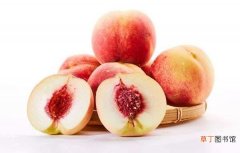 【桃子】吃完的桃子怎么种 桃子核种植技术