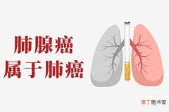 肺腺癌和肺癌的区别是什么？哪一个更严重呢？