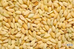 稻米有哪些营养功效？