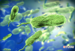 创伤弧菌会造成什么严重后果？