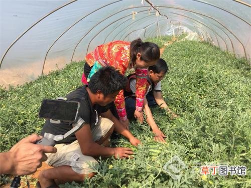 云南通海：大批新型农民脱颖而出