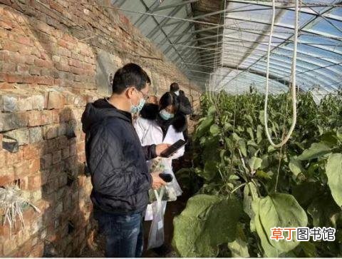 北京怀柔镇500吨有机肥改善土壤助农发展