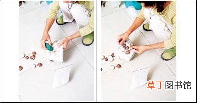 【花盆】DIY石膏海贝壳花盆
