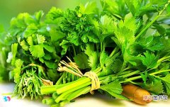水芹菜是营养的野菜，吃水芹菜的好处